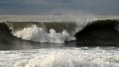 Наслідки шторму в Криму: дерева на дорогах і зіткнення суден на якірній стоянці