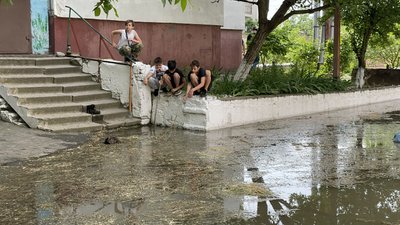 Порятунок тварин та взаємодопомога. Як херсонці рятуються від повені Порятунок тварин та взаємодопомога. Як херсонці рятуються від повені