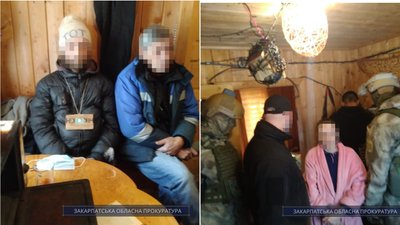 Молоду пару на Закарпатті судитимуть за збут галюциногенних грибів