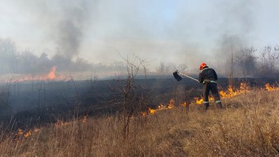 Чоловік отримав опіки: на Черкащині за добу сталися понад пів сотні пожеж сухостою