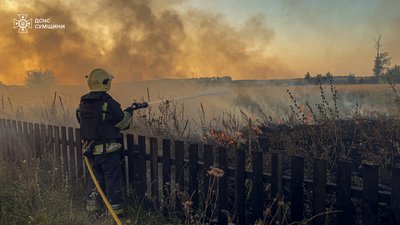 Гасіння пожежі в екосистемі на Сумщині.