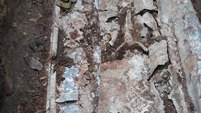 Розповіла обручка. На Прикарпатті знайшли поховання жінки священника ХІХ століття Розповіла обручка. На Прикарпатті знайшли поховання жінки священника ХІХ століття