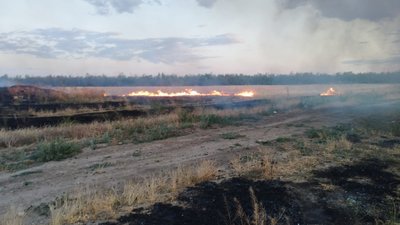 Поля на Херсонщині