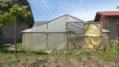 Перші на Прикарпатті помідори та курорт у котловині Дністра. Історія села Городниця Перші на Прикарпатті помідори та курорт у котловині Дністра. Історія села Городниця