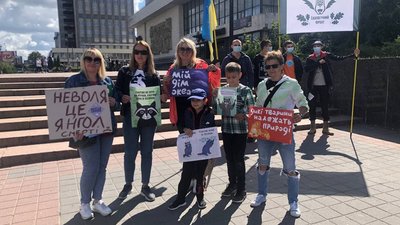 "Захистити тих, хто не може захистити себе". В Івано-Франківську пройшов марш за тварин "Захистити тих, хто не може захистити себе". В Івано-Франківську пройшов марш за тварин