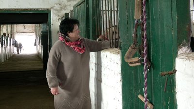Ремонт, змагання і реабілітація: у громаді на Рівненщині розповіли для чого викупили в держави іподром Ремонт, змагання і реабілітація: у громаді на Рівненщині розповіли для чого викупили в держави іподром
