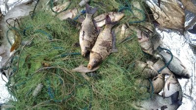 За два дні - 17 порушень: на Херсонщині любителі порибалити нехтують правилами За два дні - 17 порушень: на Херсонщині любителі порибалити нехтують правилами