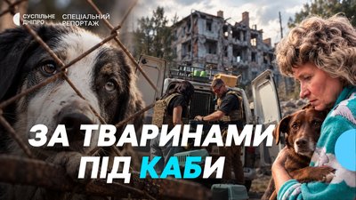 евакуація тварин, Донеччина, Save Animals Ukraine