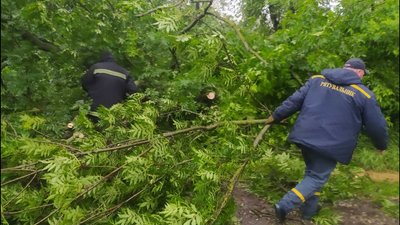 У Дніпрі продовжують ліквідувати наслідки негоди У Дніпрі продовжують ліквідувати наслідки негоди