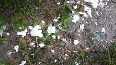 У Луцьку понівечили хату моржів, яку розмальовували діти У Луцьку понівечили хату моржів, яку розмальовували діти