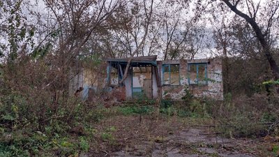 "Вулиць тут уже немає". Як живе село на Сумщині, в якому залишилося четверо жителів "Вулиць тут уже немає". Як живе село на Сумщині, в якому залишилося четверо жителів