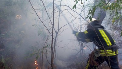 За минулу добу на Дніпропетровщині в екосистемах виникло 36 пожеж