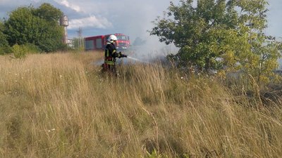 На Житомирщині сталися шість займань сухої рослинності