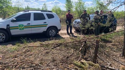 "Це жах": як комісія обстежує вирубки у нічийному лісі на Рівненщині "Це жах": як комісія обстежує вирубки у нічийному лісі на Рівненщині