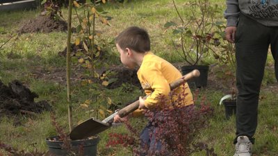 На згадку про боротьбу українців: у Черкасах висадили "Гай нескорених"