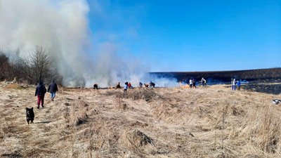 За минулу добу в екосистемах Тернопільщини трапилося 20 пожеж За минулу добу в екосистемах Тернопільщини трапилося 20 пожеж