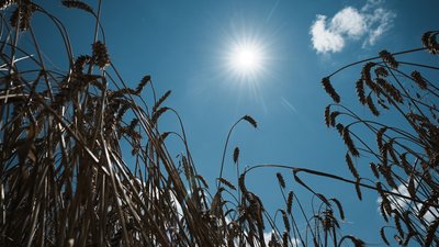 Якою буде погода на Закарпатті 31 липня