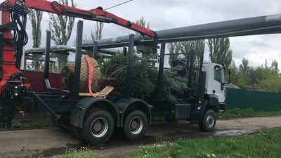 У Подільському зоопарку висадили семиметрову ялинку - для ведмедів