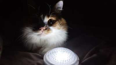 Який графік відключень світла буде у Полтаві та області 9 листопада