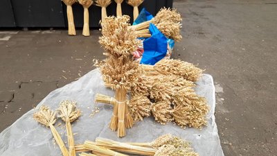 Дідухи на тернопільському ринку Дідухи на тернопільському ринку