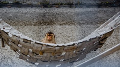 Одеський зоопарк готується до зими Одеський зоопарк готується до зими