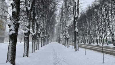 На Сумщині випав перший сніг