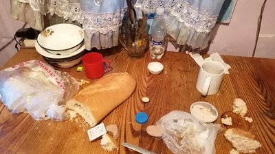 На Житомирщині п'яна мати не хотіла віддавати соцслужбам доньку, аби та щедрувала і заробила грошей