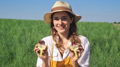 Екзотична рослина: на Житомирщині фермерка Олена Панчук вирощує артишок Екзотична рослина: на Житомирщині фермерка Олена Панчук вирощує артишок