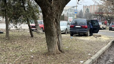 Нові дерева планують висадити на місці зрубаних біля Ужгородської райлікарні Нові дерева планують висадити на місці зрубаних біля Ужгородської райлікарні