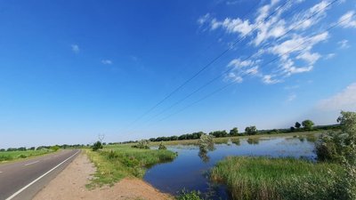 На Одещині вода із заплави річки піднялась до рівня автодороги На Одещині вода із заплави річки піднялась до рівня автодороги