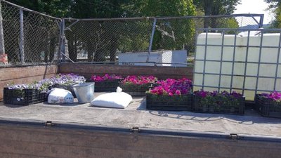 На набережній Тернопільського ставу до кованих інсталяцій додали живі квіти