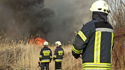 За день на Кіровоградщині вигоріло 12 гектарів землі внаслідок пожеж трави й очерету За день на Кіровоградщині вигоріло 12 гектарів землі внаслідок пожеж трави й очерету