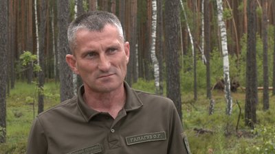 Буревій в лісі Рівне