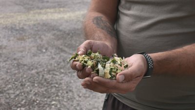 Жнивна кампанія Жнивна кампанія