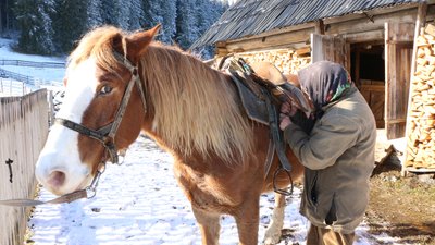 70 років без світла. Історія буковинки, яка живе у горах 70 років без світла. Історія буковинки, яка живе у горах
