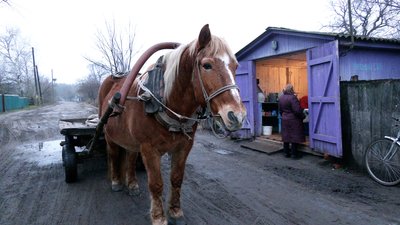 День святого Миколая на Чернігівщині: як живуть люди у селі зі співзвучною назвою Миколаївка День святого Миколая на Чернігівщині: як живуть люди у селі зі співзвучною назвою Миколаївка