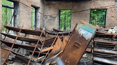Барвінкове Барвінкове