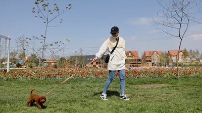 "Висадили до 3 мільйонів цибулин". Що дивитися на тюльпановому полі неподалік Чернівців "Висадили до 3 мільйонів цибулин". Що дивитися на тюльпановому полі неподалік Чернівців