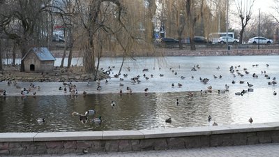 Погода, Франківськ