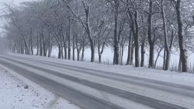 Сінг та ожеледиця: у Криму оголосили штормове попередження на 15 січня