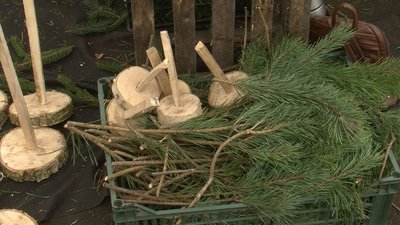 Волинська родина майструє новорічні дерева з гілок хвойних дерев Волинська родина майструє новорічні дерева з гілок хвойних дерев