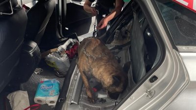 Львівські прикордонники затримали чоловіка, який хотів вивезти символіку СРСР, наркотики, антикваріат та зброю