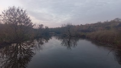 Видимість до пів кілометра. На Кіровоградщині на вихідні прогнозують туман
