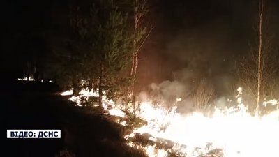 В Овруцькому районі локалізували більшість загорянь, лишилися 4 великі пожежі