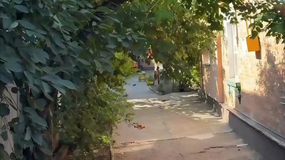Жінка провалилася у туалет на власному подвір'ї