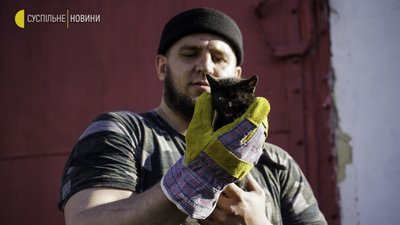 Війна й коти: евакуація тварин із колонії з-під Мар’їнки. Фоторепортаж Війна й коти: евакуація тварин із колонії з-під Мар’їнки. Фоторепортаж