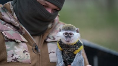 Олексій та Зіна