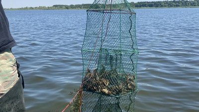 Раки, Південне водосховище, браконьєрство, пастки, рибпатруль
