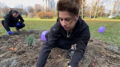 У Луцьку клумбу з тисячі тюльпанів присвятили передчасно народженим дітям У Луцьку клумбу з тисячі тюльпанів присвятили передчасно народженим дітям