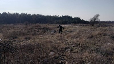 За добу на Житомирщині ліквідували 4 пожежі сухої трави За добу на Житомирщині ліквідували 4 пожежі сухої трави